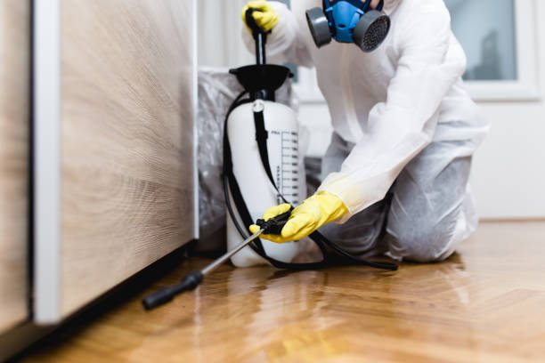 Best Cockroach Control Services  in Orchard Mesa, CO