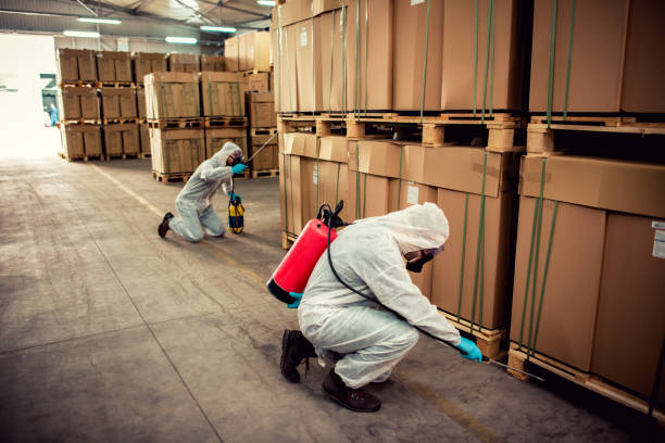 Best Bed Bug Extermination  in Orchard Mesa, CO