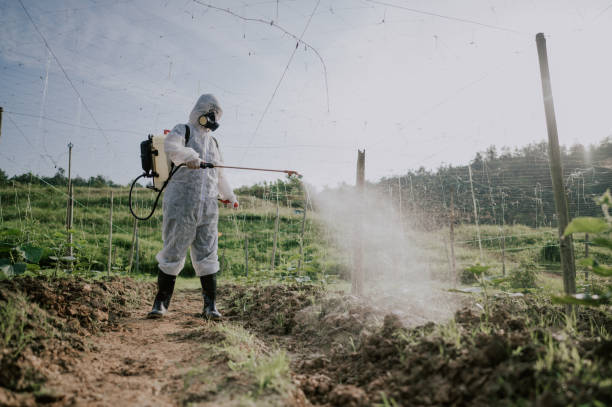 Best Pest Removal Services  in Orchard Mesa, CO