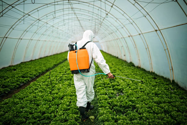 Best Local Pest Control Services  in Orchard Mesa, CO