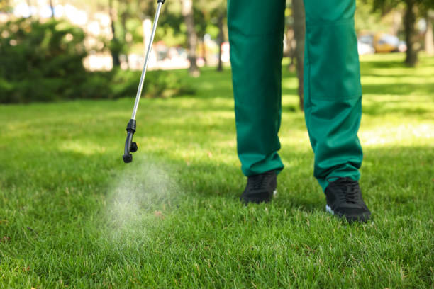Trusted Orchard Mesa, CO Pest Control Experts