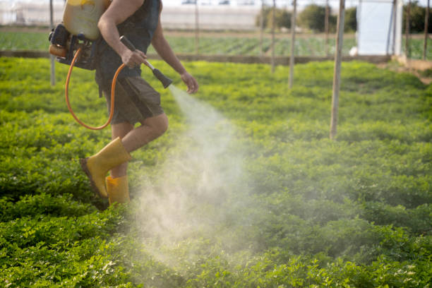 Best Pest Inspection Near Me  in Orchard Mesa, CO